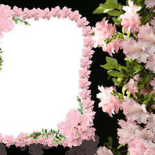 Схема вышивки «рамка»