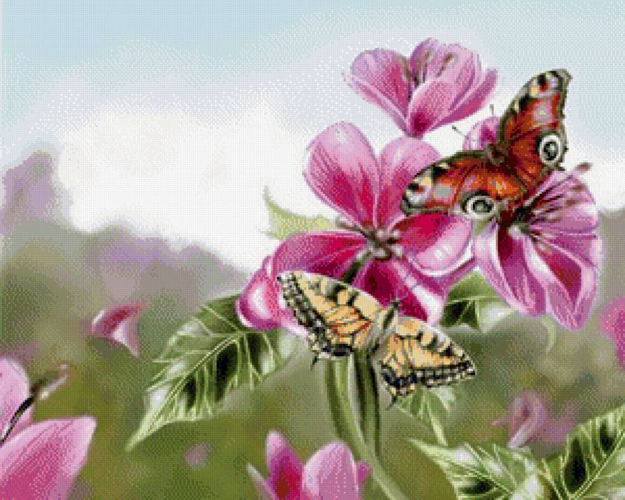 Бабочка на цветке - бабочка, цветы - предпросмотр