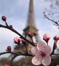 Схема вышивки «ейфелева»