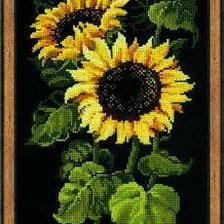 Схема вышивки «семечки»