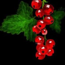 Схема вышивки «№529358»