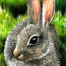 Схема вышивки «0177»