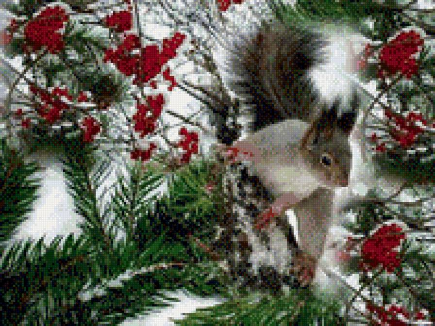 0178 - животные, природа, картина, белка, красота, зима - предпросмотр