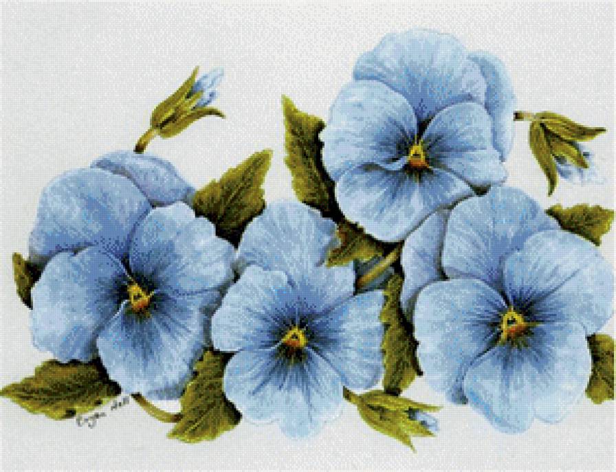 Голубые цветы - предпросмотр