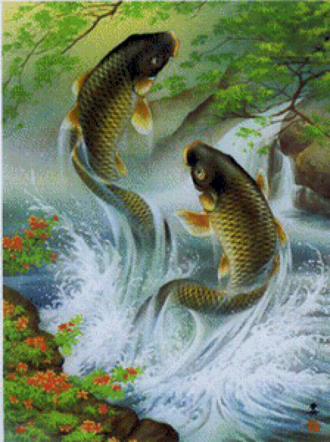 карпы - предпросмотр