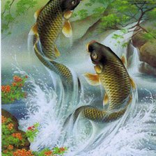 Схема вышивки «карпы»