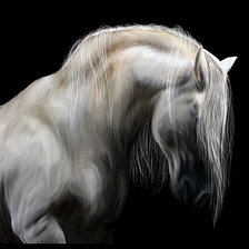 Схема вышивки «красивые лошади (подборка)»