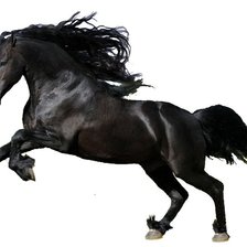 Схема вышивки «Лошадь»