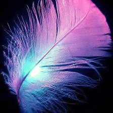 Схема вышивки «перо»