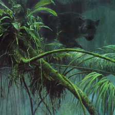 Схема вышивки «тени в джунглях»