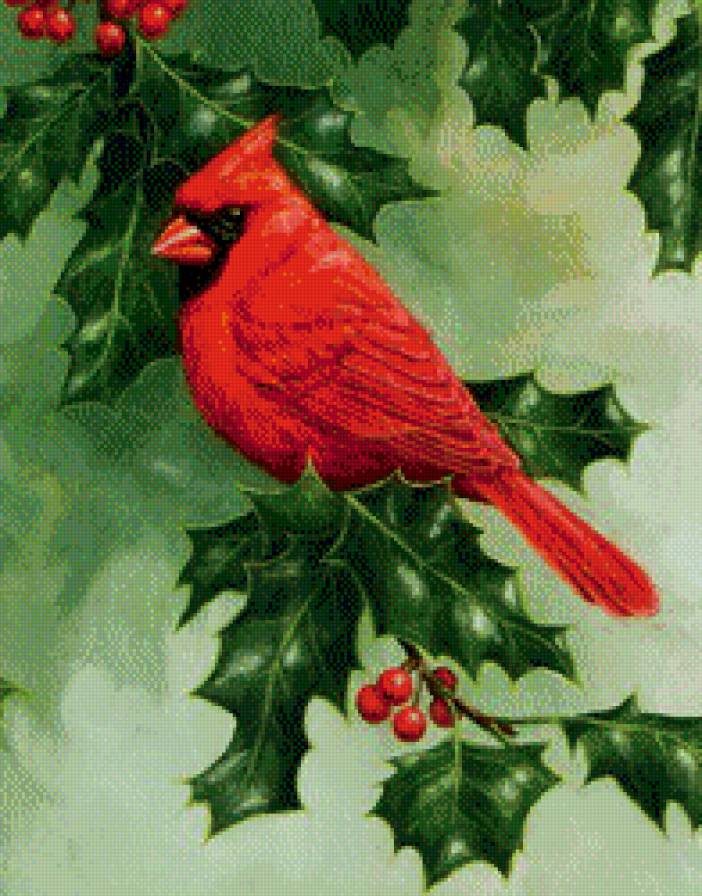 №529687 - животные, птицы - предпросмотр