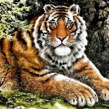 Схема вышивки «№529691»