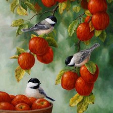 Схема вышивки «№529695»