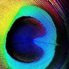 Схема вышивки «Перо»