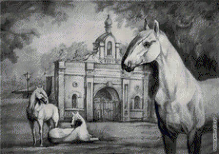 красивые лошади (подборка) - монохром, пейзаж, лошадь, кони, год лошади - предпросмотр