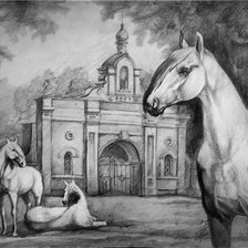 Схема вышивки «красивые лошади (подборка)»