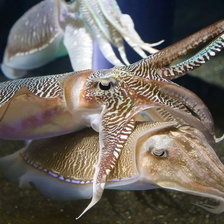 Схема вышивки «любовь»