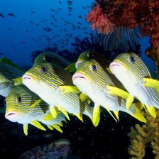 почти танец,,,