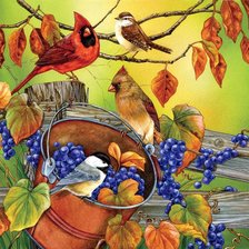 Схема вышивки «птички»