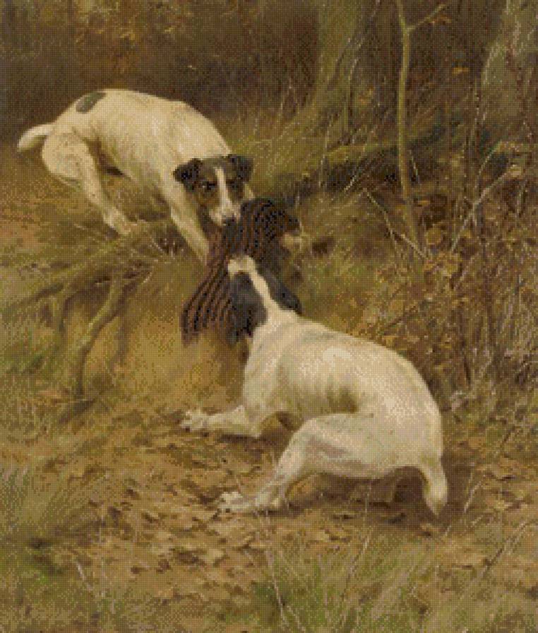 Борьба - дичь, собаки - предпросмотр