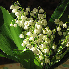 Схема вышивки «№529985»