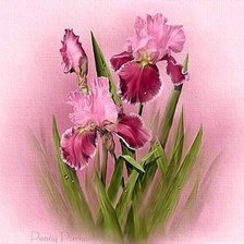 Схема вышивки «№529986»