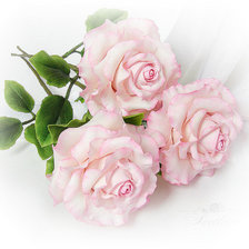 Схема вышивки «№529987»