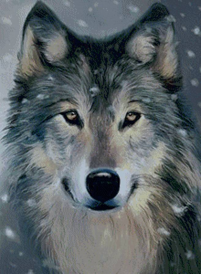 Волк - живопись, животные, акварель, волки - предпросмотр