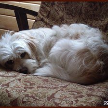 Схема вышивки «Клёпа»