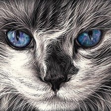 Схема вышивки «Синеглазка»