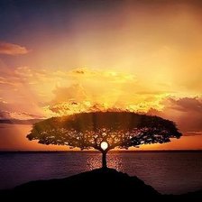 Схема вышивки «Древо»