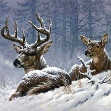 Схема вышивки «№530343»