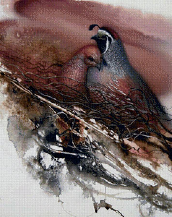 ли богл 13 фазаны - фазаны, пара, ли богл, птицы, журавли, картина, живопись - предпросмотр