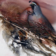 Схема вышивки «ли богл 13 фазаны»