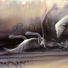 ли богл 17 лебеди