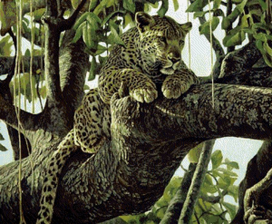 Леопард - дикие кошки, хищники - предпросмотр