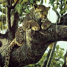 Схема вышивки «Леопард»