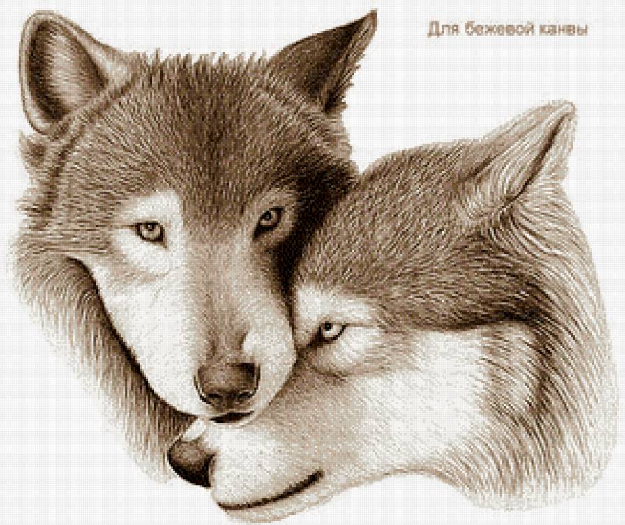 Это любовь... - волки, пара, животные, сепия, монохром - предпросмотр