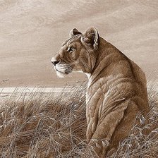 Схема вышивки «Львица на охоте (вариант СЕПИЯ)»