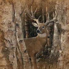 Схема вышивки «Олень Коллин Богл»