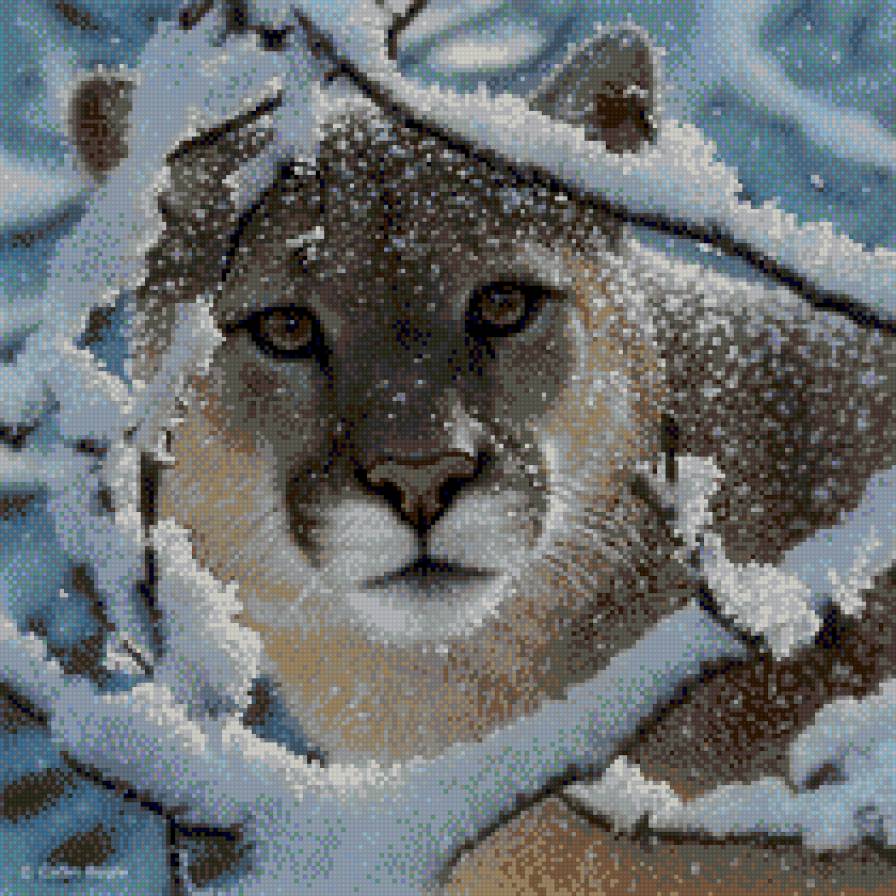 Киска Коллин Богл - предпросмотр