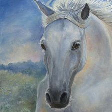 Схема вышивки «лошадь»