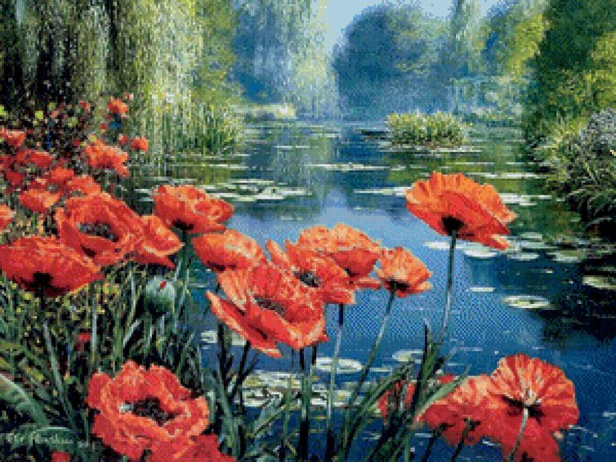 Маки - маки, пейзаж, природа, озеро - предпросмотр