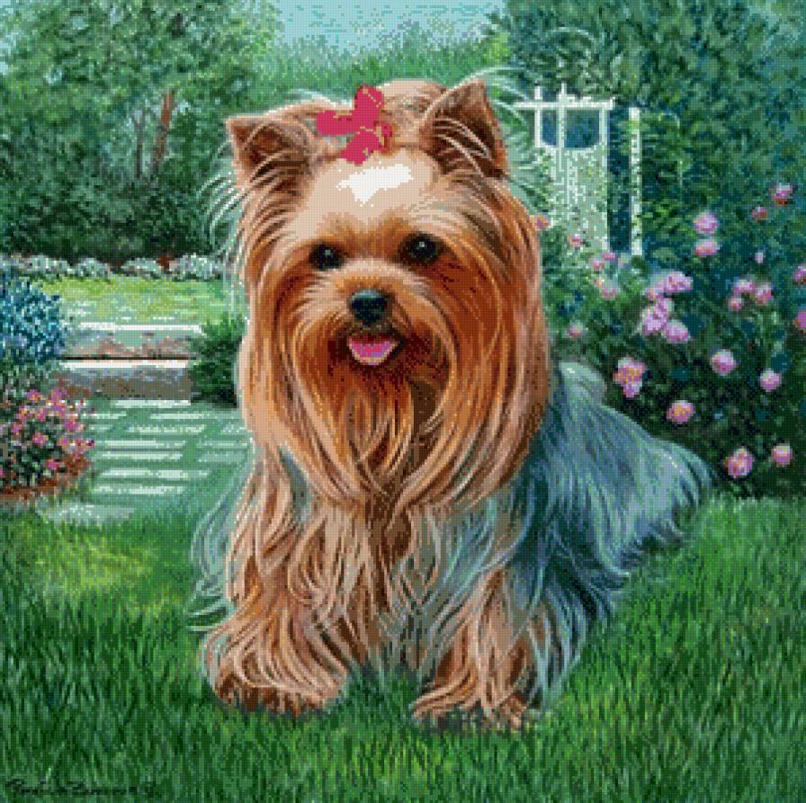 Серия "Друзья человека" - пейзаж, собаки, животные - предпросмотр