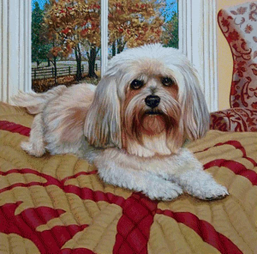 Серия "Друзья человека" - собаки, животные, осень - предпросмотр