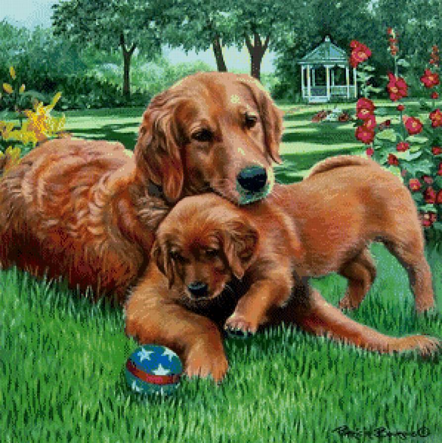 Серия "Друзья человека" - лето, собаки, животные - предпросмотр