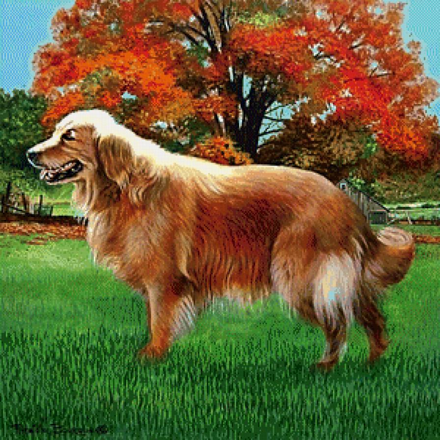 Серия "Друзья человека" - осень, животные, собаки - предпросмотр