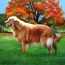 Схема вышивки «Серия "Друзья человека"»