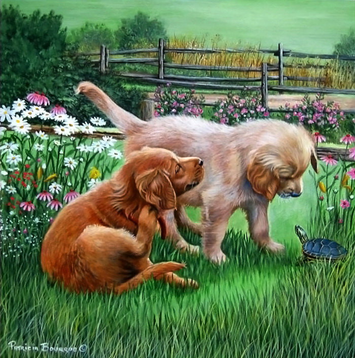 Серия "Друзья человека" - животные, собаки, цветы, лето, черепахи - оригинал