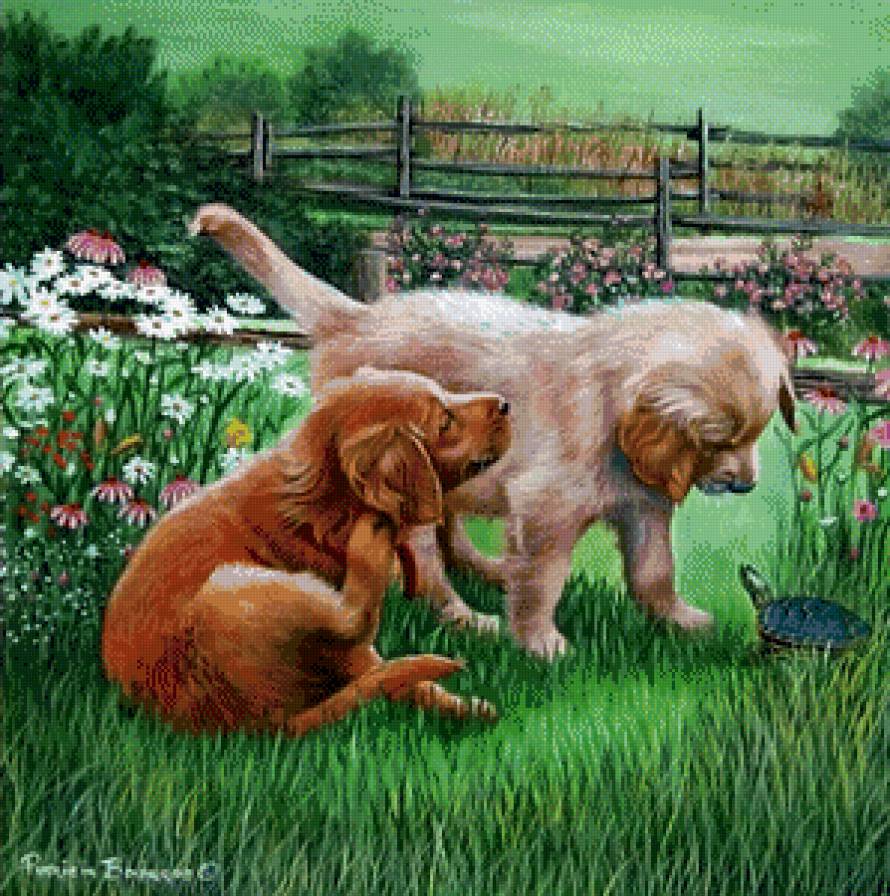 Серия "Друзья человека" - цветы, собаки, лето, черепахи, животные - предпросмотр